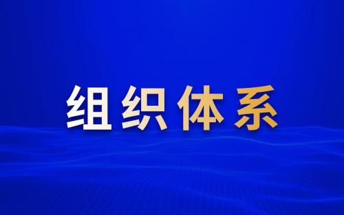 組織體系